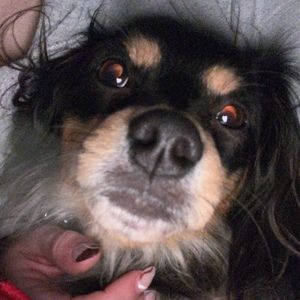 Meet your Posher, Ashlee